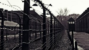 Ritorno da Auschwitz