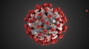 Il coronavirus e i confini