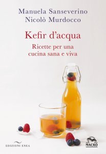 Kefir d'Acqua. Ricette per una Cucina Sana e Viva USATO - Libro