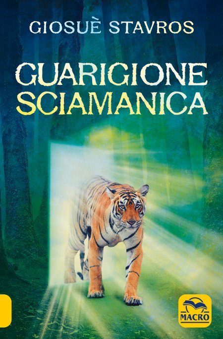 Guarigione Sciamanica USATO (2023) - Libro