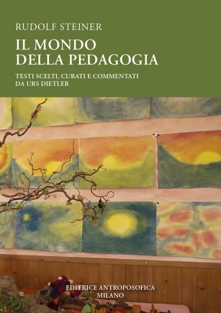 Il mondo della pedagogia - Libro